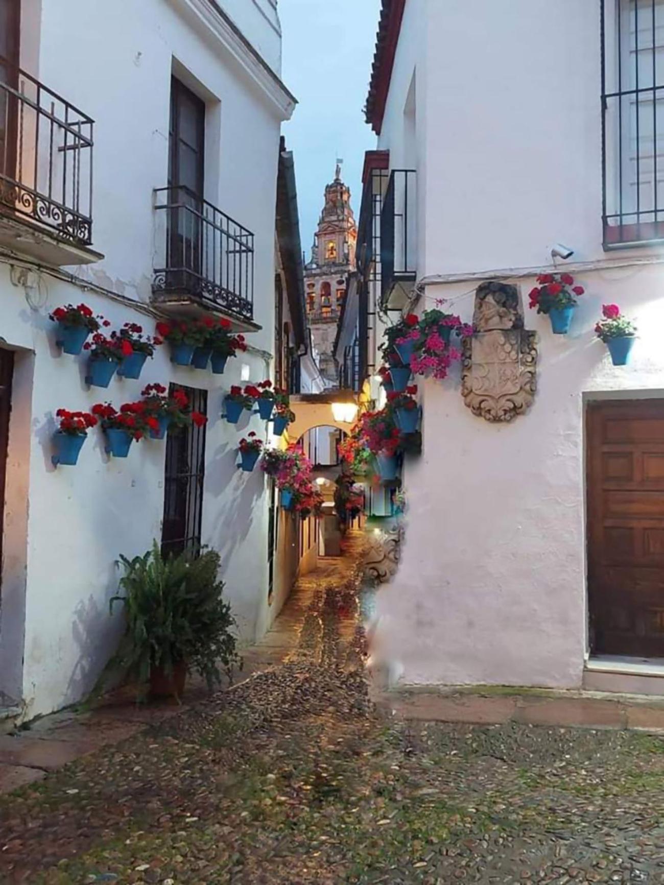 Nieves Viejas Los Patios Cordoue Extérieur photo