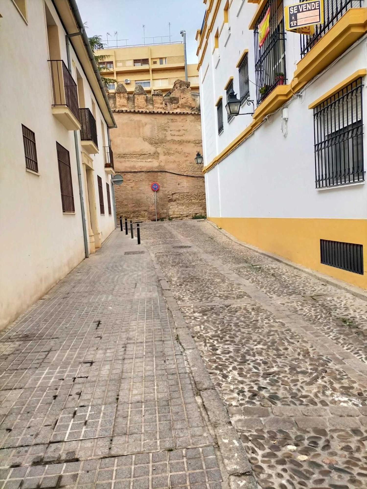 Nieves Viejas Los Patios Cordoue Extérieur photo